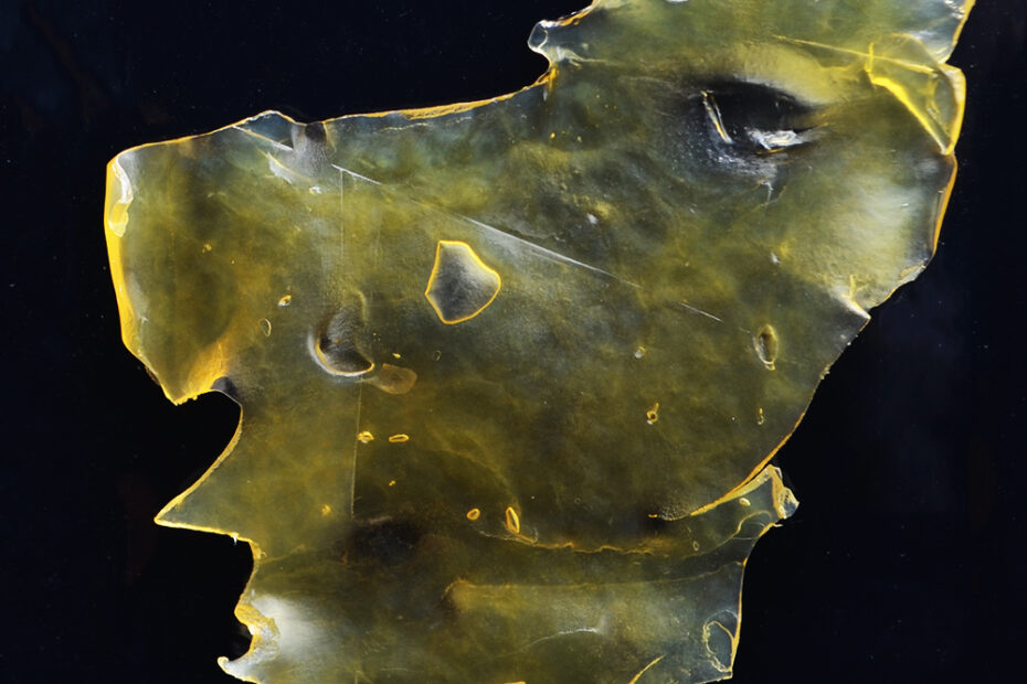 Cannabis Concentrate: Guava Kush Shatter